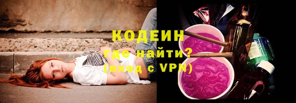 хмурый Арсеньев