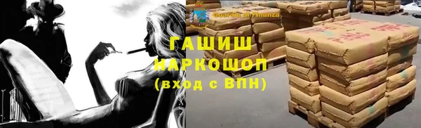 хмурый Арсеньев