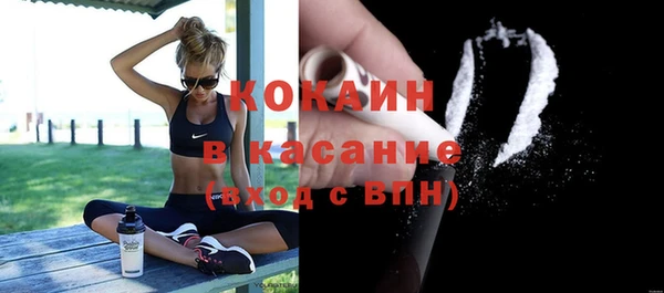 хмурый Арсеньев