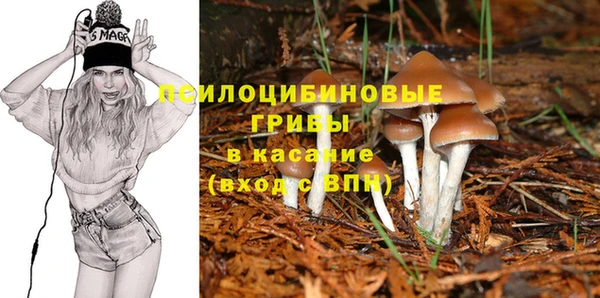 хмурый Арсеньев