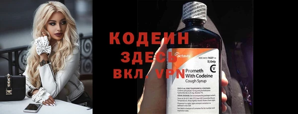 хмурый Арсеньев