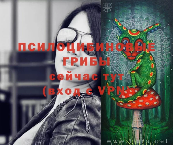 МДПВ Аркадак