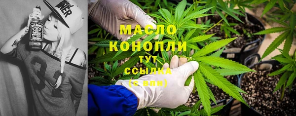 хмурый Арсеньев
