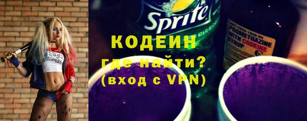 хмурый Арсеньев