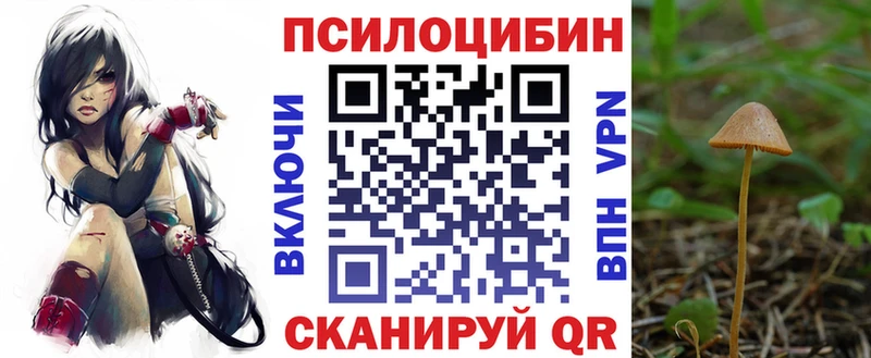 Псилоцибиновые грибы мицелий  Аркадак 